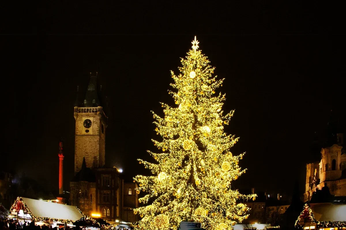 Lit Christmas tree on Old Town Square at night with the Old Town Hall tower behind