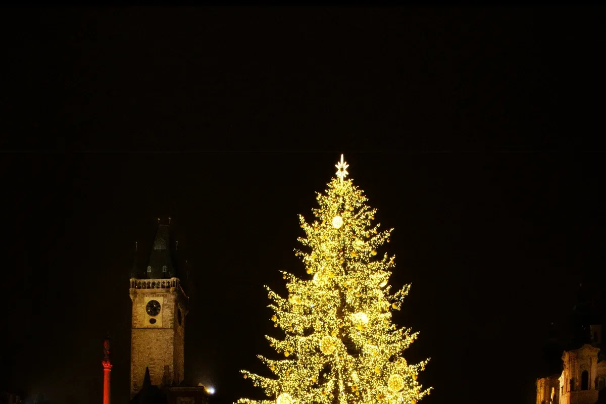 The lit Christmas tree on Old Town Square at night with the Old Town Hall tower behind it